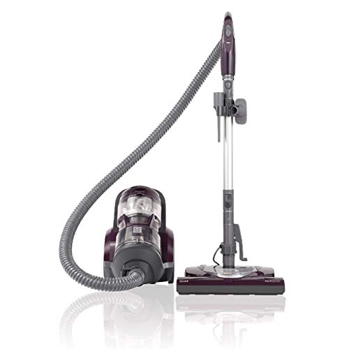 Kenmore Friendly Lightweight Bagless Compact Canister Vacuum with Pet Powermate via Amazon