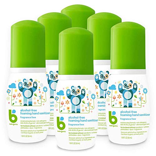 6 Pack Babyganics Alcohol-Free Foaming Hand Sanitizer Via Amazon