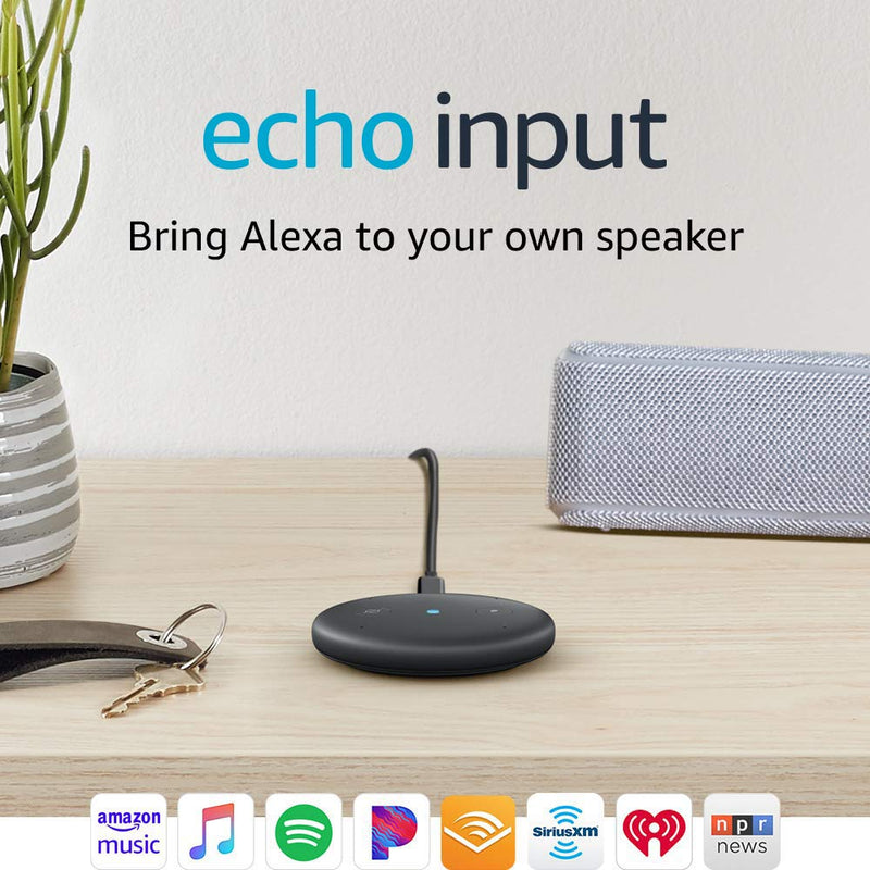 Echo Input - Bring Alexa to your own speaker Via Amazon