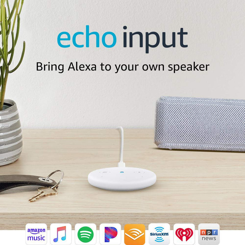 Echo Input - Bring Alexa to your own speaker Via Amazon