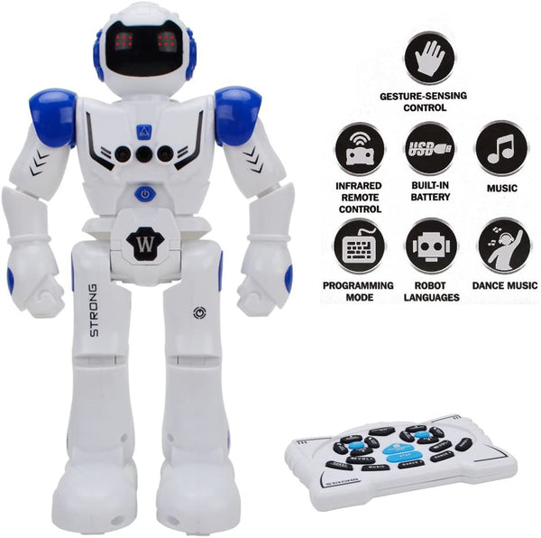 Remote Control Intelligent Robot Via Amazon