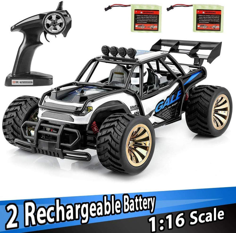 Distianert 1:16 Scale Electric RC Car with 2 Recharger Battery Via Amazon