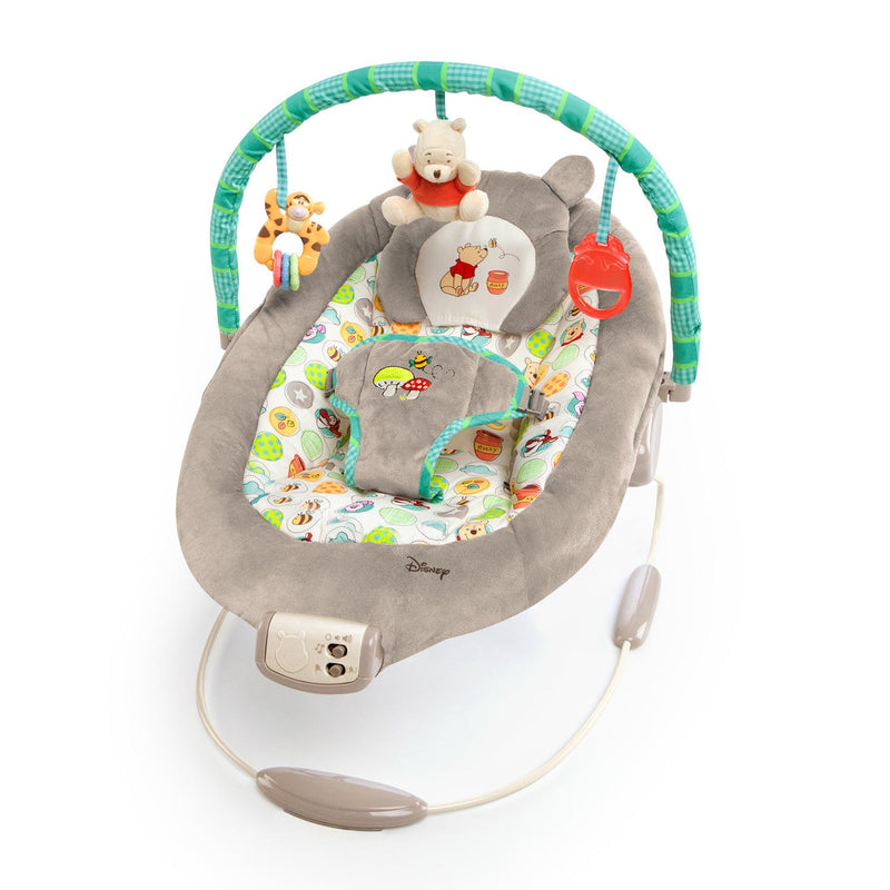 Disney Baby Winnie The Pooh Bouncer Via Amazon