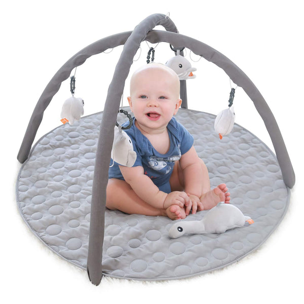 Infant Activity Gym and Play Mat  Via Amazon