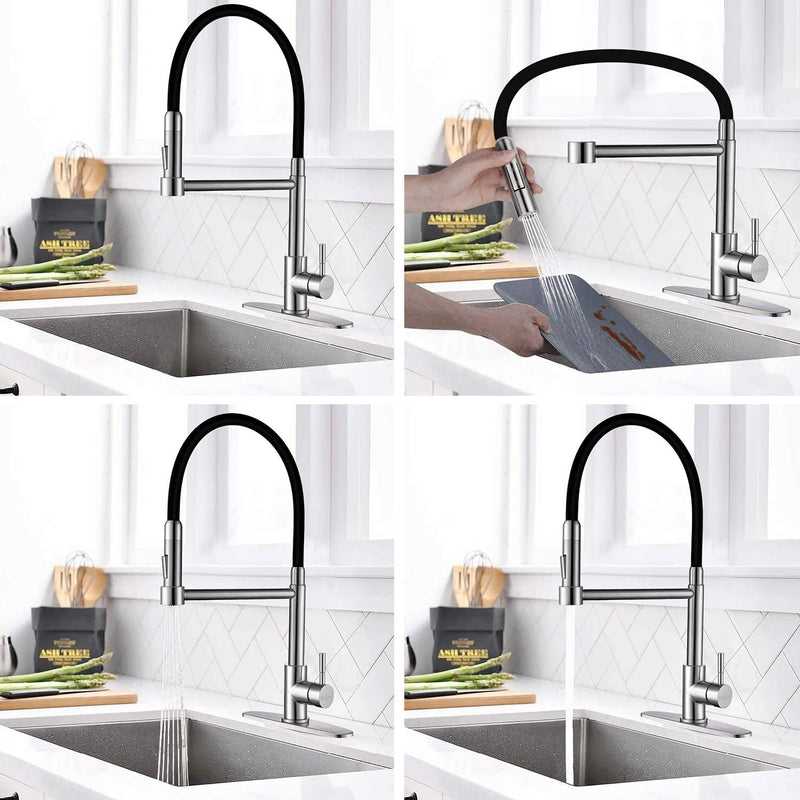 Single Handle Kitchen Sink Faucet with Sprayer Via Amazon