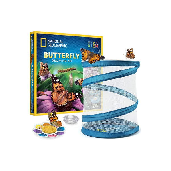 National Geographic Butterfly Growing Kit