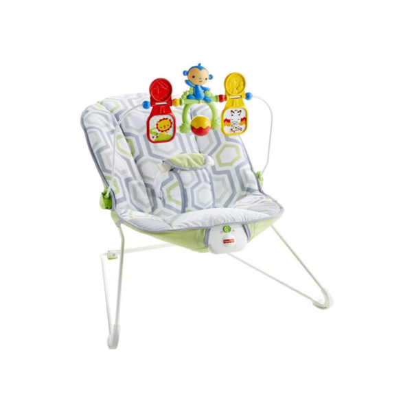 Fisher-Price Baby's Bouncer Geo Meadow Via Amazon