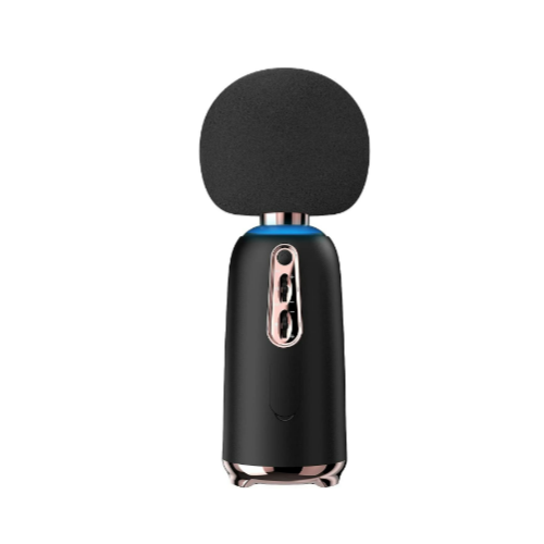 Bluetooth Rechargeable Karaoke Microphone Via Amazon