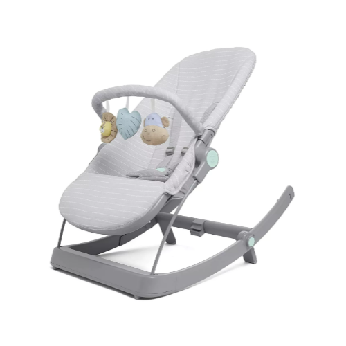 3-in-1 Infant to Toddler Transition Seat , Reclining Rocker via Amazon